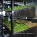 Agricultura vertical Sistema de forraje hidropónico Farm